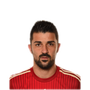 Foto de David Villa