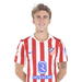 Barrios