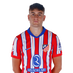 jugador