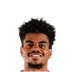 Foto de N. Lemina