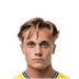 Foto de M. Larsen