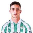 V. Gómez
