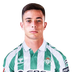 V. Gómez