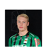 Foto de V. Rönnberg