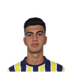 Foto de Y. Demir
