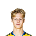 Foto de T. Bergvall