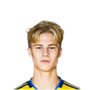 Foto de T. Bergvall