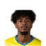 Foto de Jugador
