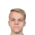 Foto de T. van den Belt