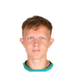 Foto de D. Yordanov