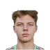 Foto de K. Gomanov