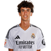 jugador