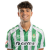 jugador