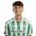 Carlos Guirao