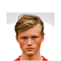 Foto de H. Stenevik