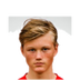 Foto de H. Stenevik