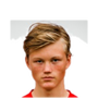 Foto de H. Stenevik