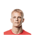 Foto de L. Høgsberg