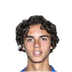 Foto de João Pedro Moreira Teixeira