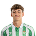 jugador