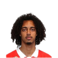 Foto de Tomás Tavares