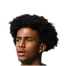 Foto de Jaden Dixon