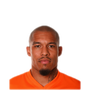 Foto de Nigel de Jong