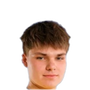 Foto de N. Mirskiy