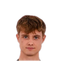 Foto de Károly Dominik Földi