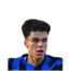Foto de M. Zanchetta