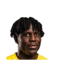 Foto de P. Ogunkoya