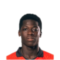 Foto de M. Nagida