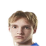 Foto de V. Krolik
