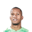 Foto de Jugador