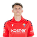 Budimir