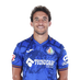 jugador