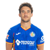 Luis Milla