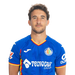 Luis Milla