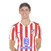jugador
