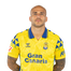 Foto de Jugador