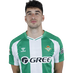 Marc Roca