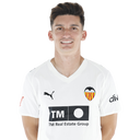 Pepelu