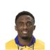 Foto de Y. Andzouana