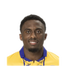 Foto de Y. Andzouana