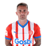 Foto de Jugador