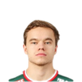 Foto de D. Rybchinskiy