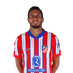 Koke