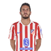 Koke