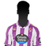 Foto de Negredo