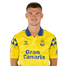 Foto de Jugador